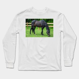 Sam the best  horse Long Sleeve T-Shirt